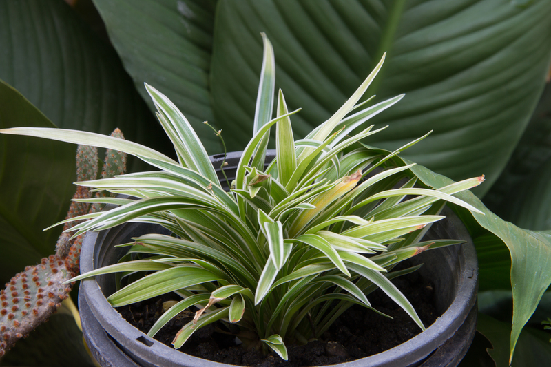 Make Your Entryway Stand Out with These 12 Front Garden Design Inspirations