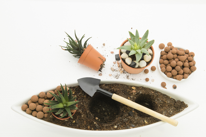 Natural Screens and Living Walls to Protect Your Garden Privacy