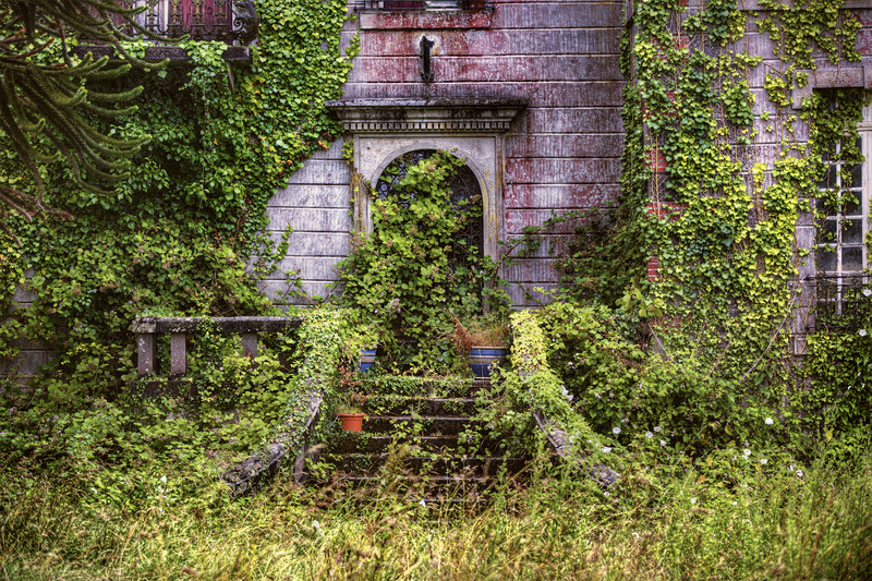 Start Your Lawn Care Journey with These Expert Secrets